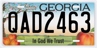 GA license plate QAD2463