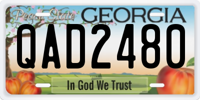 GA license plate QAD2480