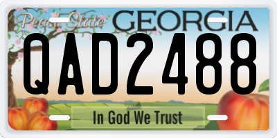 GA license plate QAD2488