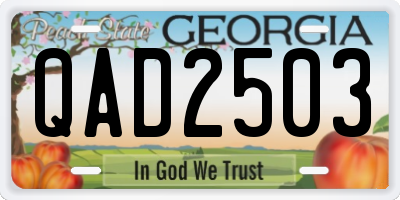 GA license plate QAD2503
