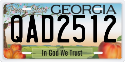 GA license plate QAD2512