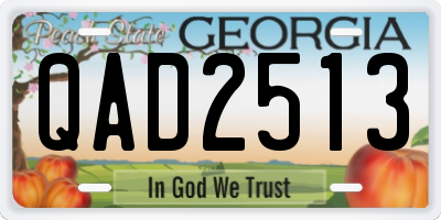 GA license plate QAD2513