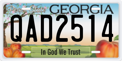 GA license plate QAD2514