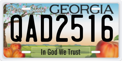 GA license plate QAD2516