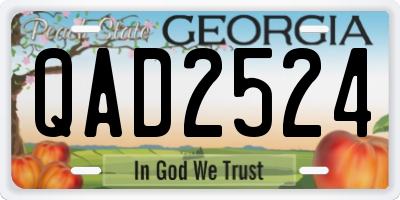 GA license plate QAD2524
