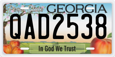 GA license plate QAD2538
