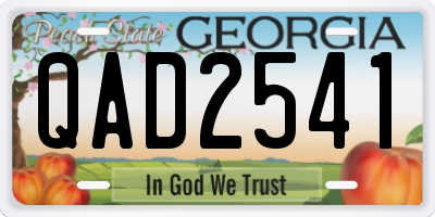 GA license plate QAD2541