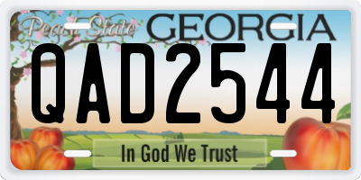 GA license plate QAD2544