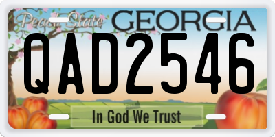 GA license plate QAD2546