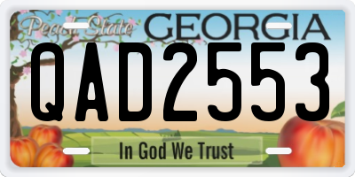 GA license plate QAD2553