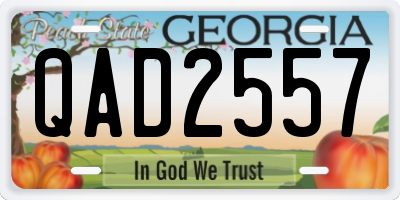 GA license plate QAD2557