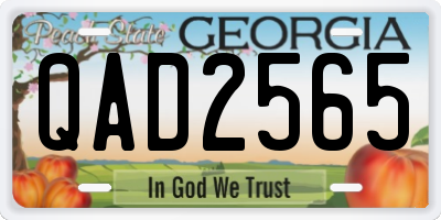 GA license plate QAD2565