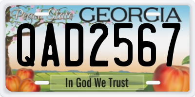 GA license plate QAD2567