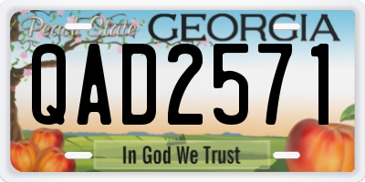 GA license plate QAD2571