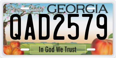 GA license plate QAD2579