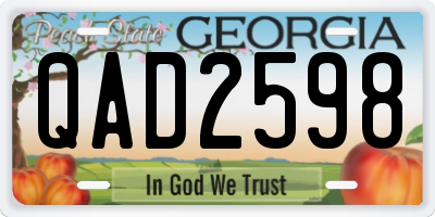 GA license plate QAD2598
