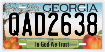 GA license plate QAD2638
