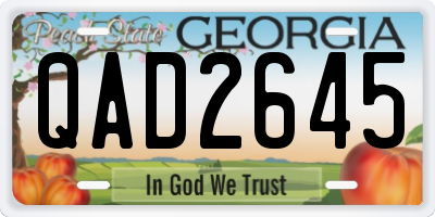 GA license plate QAD2645