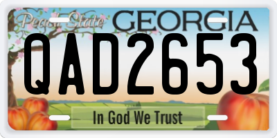 GA license plate QAD2653
