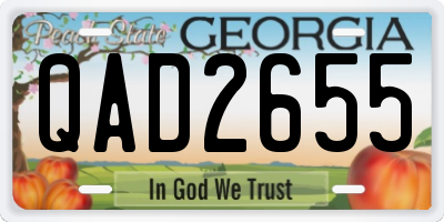 GA license plate QAD2655