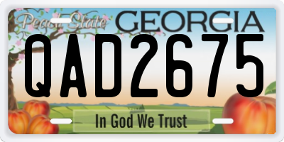 GA license plate QAD2675