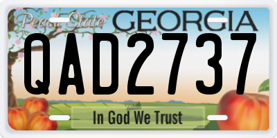 GA license plate QAD2737