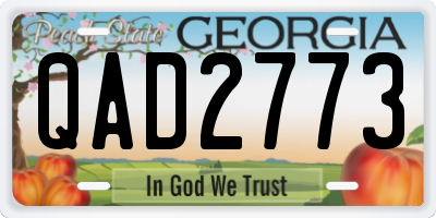 GA license plate QAD2773
