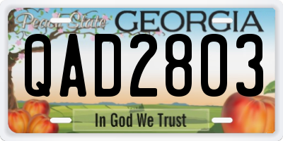 GA license plate QAD2803