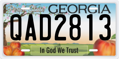 GA license plate QAD2813
