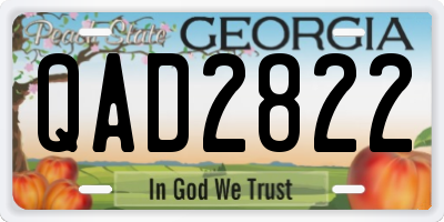 GA license plate QAD2822