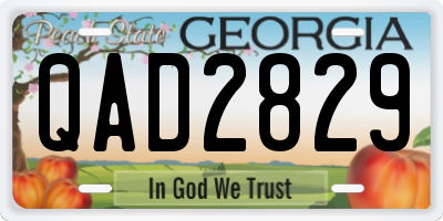 GA license plate QAD2829