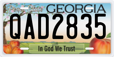 GA license plate QAD2835