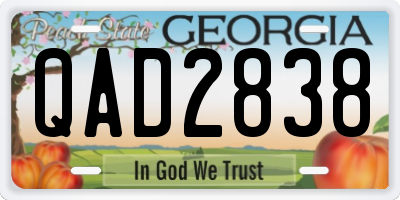 GA license plate QAD2838
