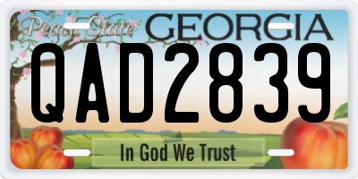 GA license plate QAD2839
