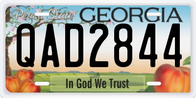GA license plate QAD2844