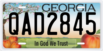 GA license plate QAD2845