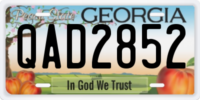 GA license plate QAD2852