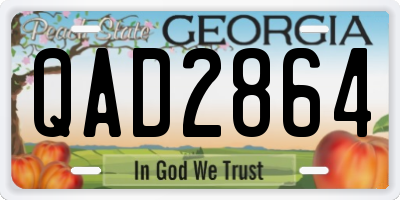 GA license plate QAD2864