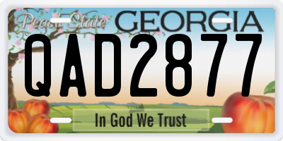 GA license plate QAD2877