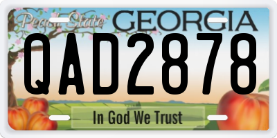 GA license plate QAD2878
