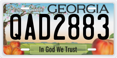 GA license plate QAD2883