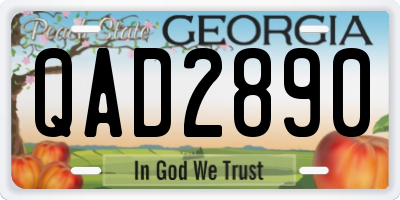 GA license plate QAD2890