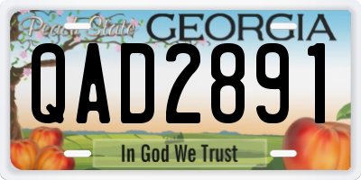 GA license plate QAD2891