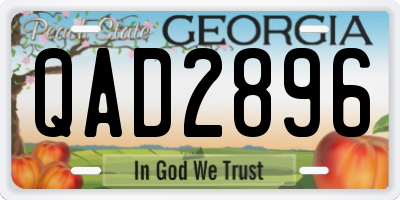 GA license plate QAD2896