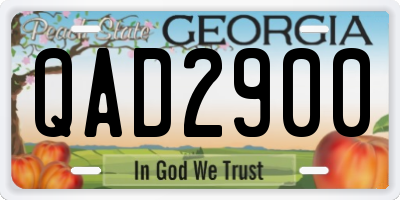GA license plate QAD2900
