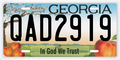 GA license plate QAD2919