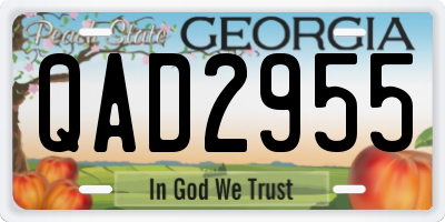 GA license plate QAD2955