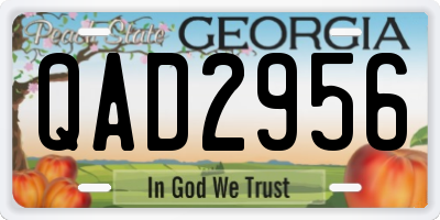GA license plate QAD2956