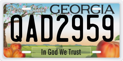 GA license plate QAD2959