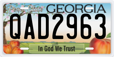 GA license plate QAD2963
